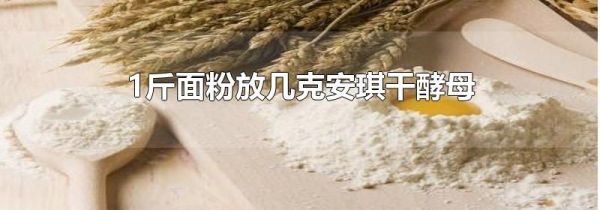 1斤面粉放几克安琪干酵母