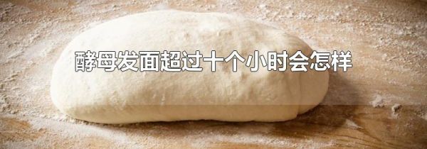 酵母发面超过十个小时会怎样