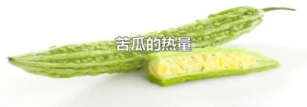 苦瓜的热量