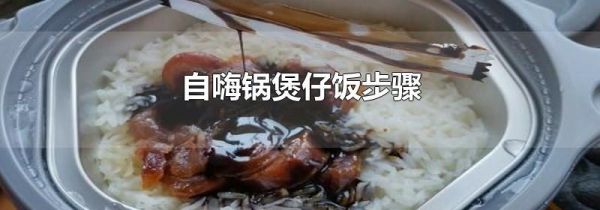 自嗨锅煲仔饭步骤