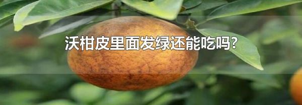沃柑皮里面发绿还能吃吗?
