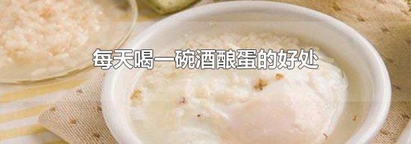 每天喝一碗酒酿蛋的好处