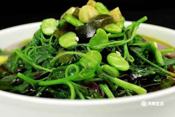 玉谷叶子的功效与作用 玉谷叶子的禁忌人群