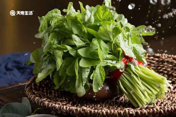 玉谷叶子的功效与作用 玉谷叶子的禁忌人群