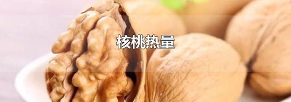 核桃热量