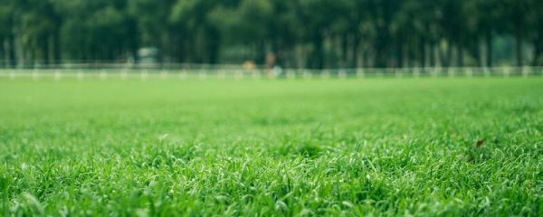 有关环保的标语 有哪些环保的标语