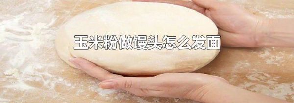 玉米粉做馒头怎么发面