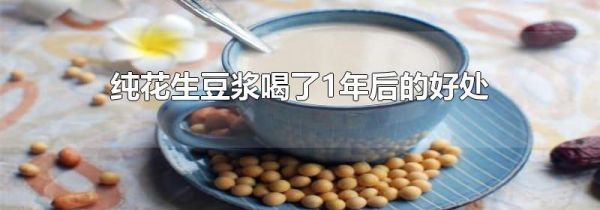 纯花生豆浆喝了1年后的好处