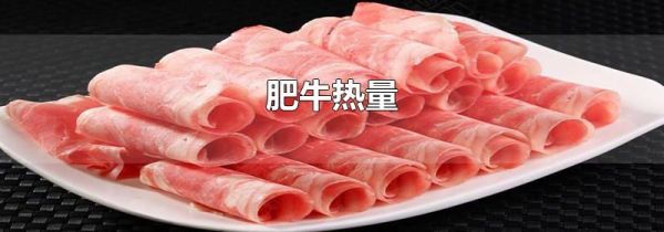 肥牛热量