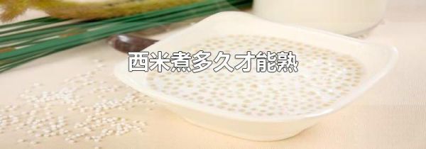 西米煮多久才能熟