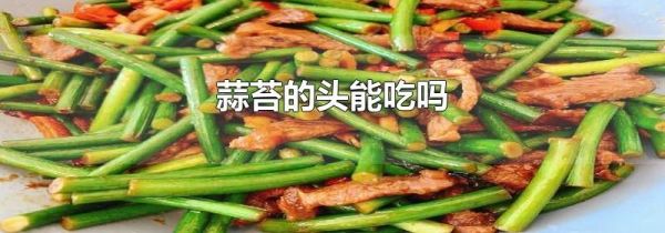 蒜苔的头能吃吗