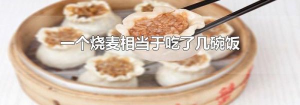 一个烧麦相当于吃了几碗饭