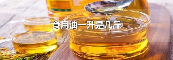 食用油一升是几斤