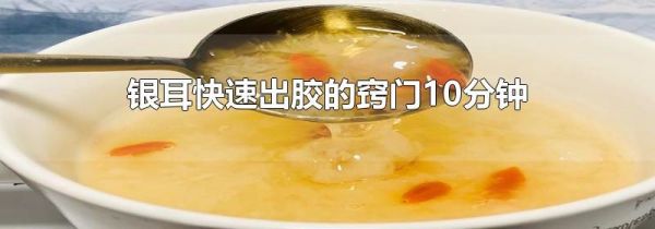 银耳快速出胶的窍门10分钟