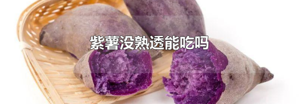 紫薯没熟透能吃吗