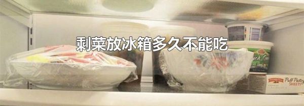 剩菜放冰箱多久不能吃