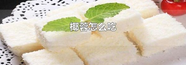 椰蓉怎么吃