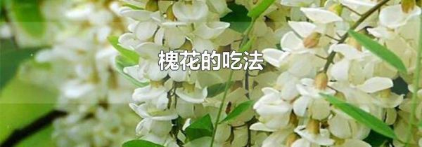 槐花的吃法