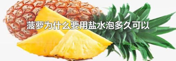 菠萝为什么要用盐水泡多久可以