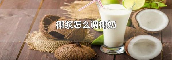 椰浆怎么调椰奶