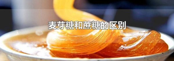 麦芽糖和蔗糖的区别