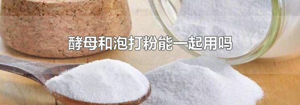 酵母和泡打粉能一起用吗