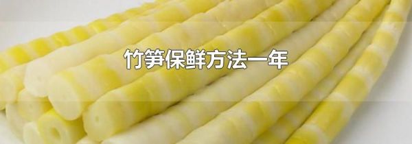 竹笋保鲜方法一年