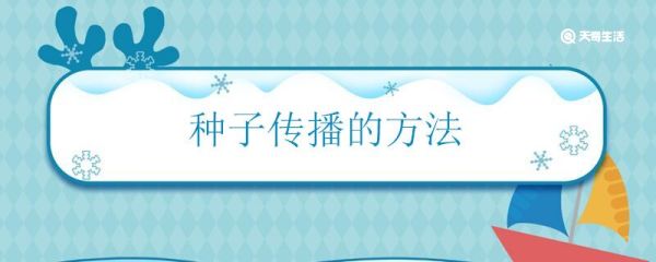 种子传播的方法 植物如何传播种子