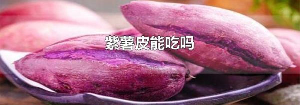 紫薯皮能吃吗