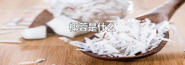 椰蓉是什么