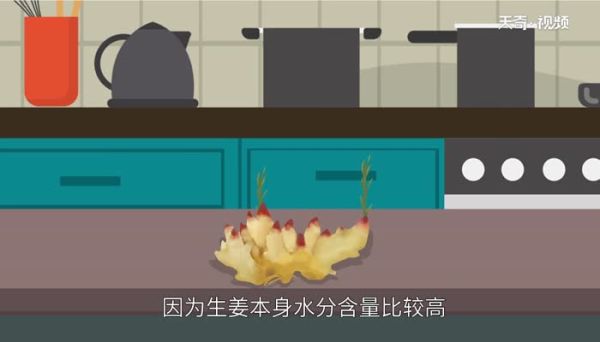 姜发芽了还能吃吗 姜发芽了可以吃吗