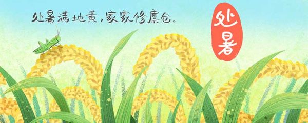 处暑不出头割谷喂老牛的意思 处暑不出头割谷喂老牛的含义