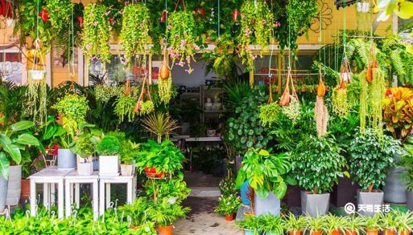 ins风高级感店名 ins风高级感的店名怎么起