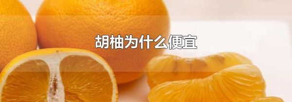 胡柚为什么便宜