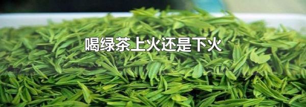 喝绿茶上火还是下火