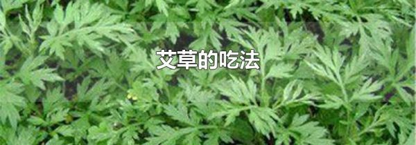 艾草的吃法