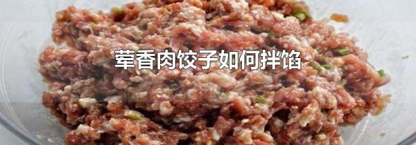 荤香肉饺子如何拌馅