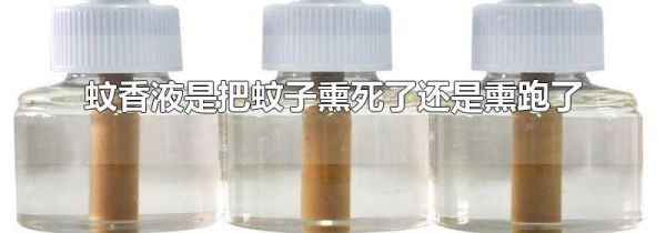 蚊香液是把蚊子熏死了还是熏跑了