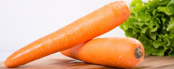 兔子品种 兔子品种有哪些