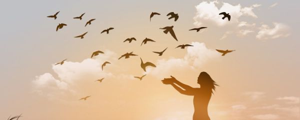 心灵鸡汤是什么意思  心灵鸡汤有什么意思