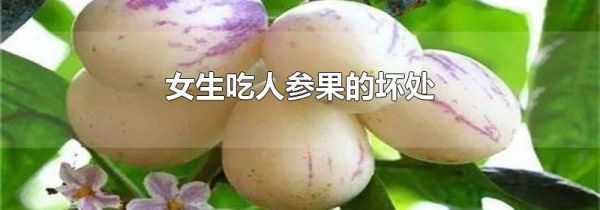 女生吃人参果的坏处