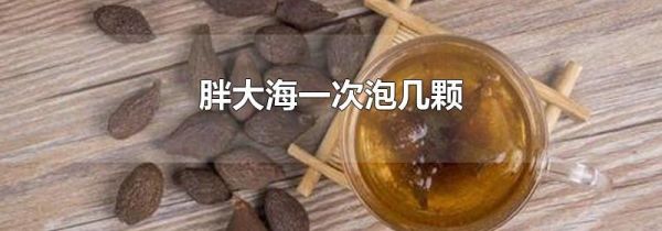 胖大海一次泡几颗