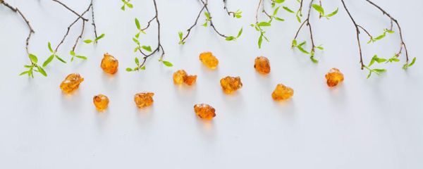 阿拉伯胶是什么东西 阿拉伯胶的用途