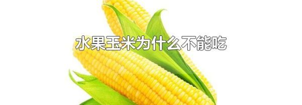 水果玉米为什么不能吃