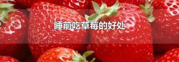 睡前吃草莓的好处