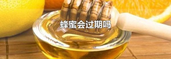 蜂蜜会过期吗