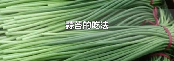 蒜苔的吃法