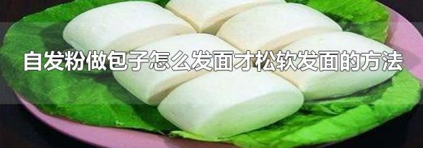 自发粉做包子怎么发面才松软发面的方法