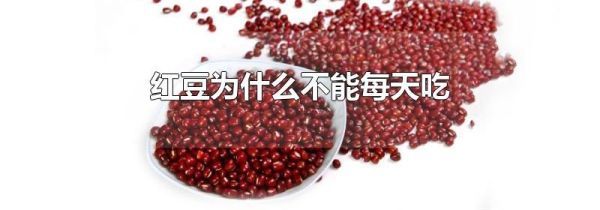 红豆为什么不能每天吃