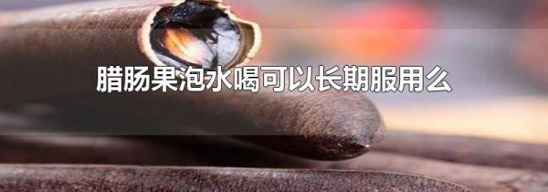 腊肠果泡水喝可以长期服用么